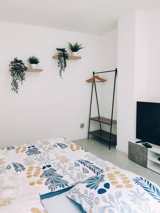 Magnifique Appartement T3 50 M2 Obernai Bagian luar foto