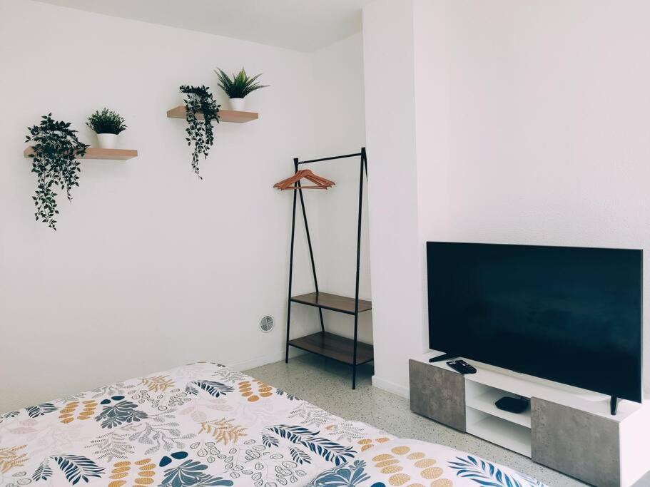 Magnifique Appartement T3 50 M2 Obernai Bagian luar foto